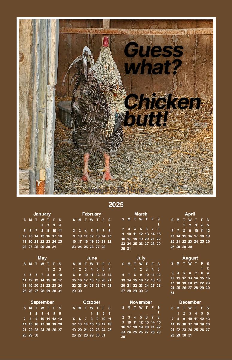 2025 Whimsical Chicken Butt Poster Calendar