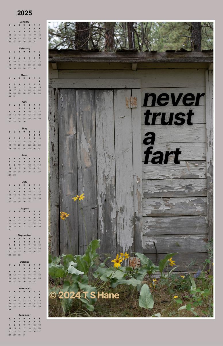 2025 Poster Calendar humorous Never Trust a Fart!