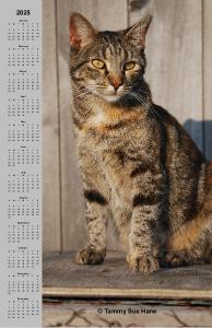 2025 Poster Calendar Tabby The Iowa Farm Cat