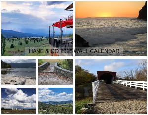 2025 Wall Calendar 12-Mo Scenic by TSHane