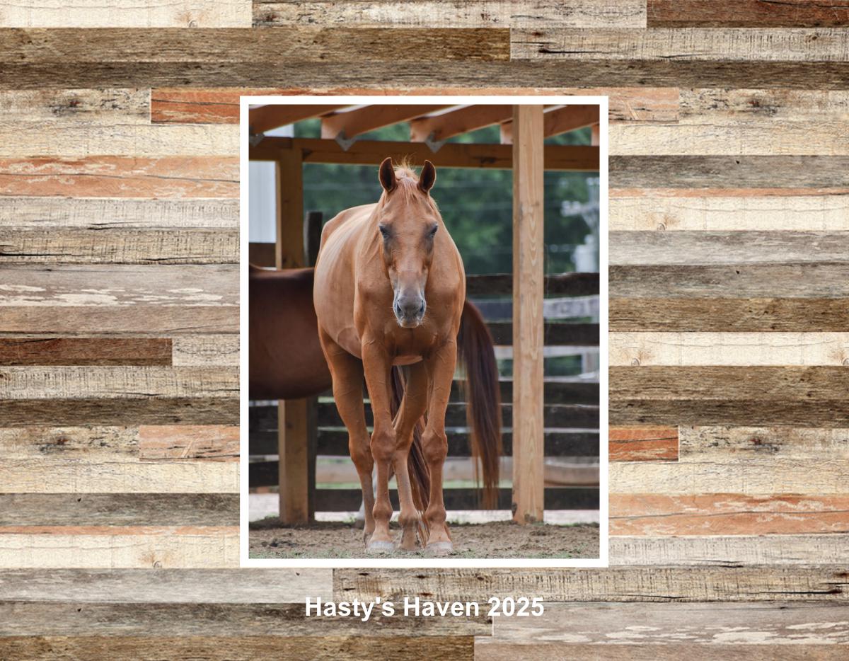 HASTY'S HAVEN 2025 CALENDAR