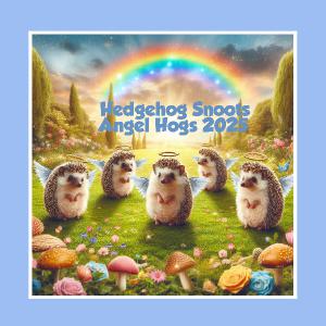 Hedgehog Snoots 2025 Angel Hogs