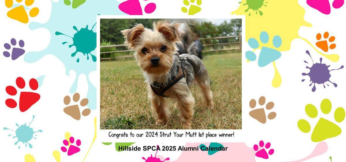 Hillside SPCA 2025 Desk Calendar