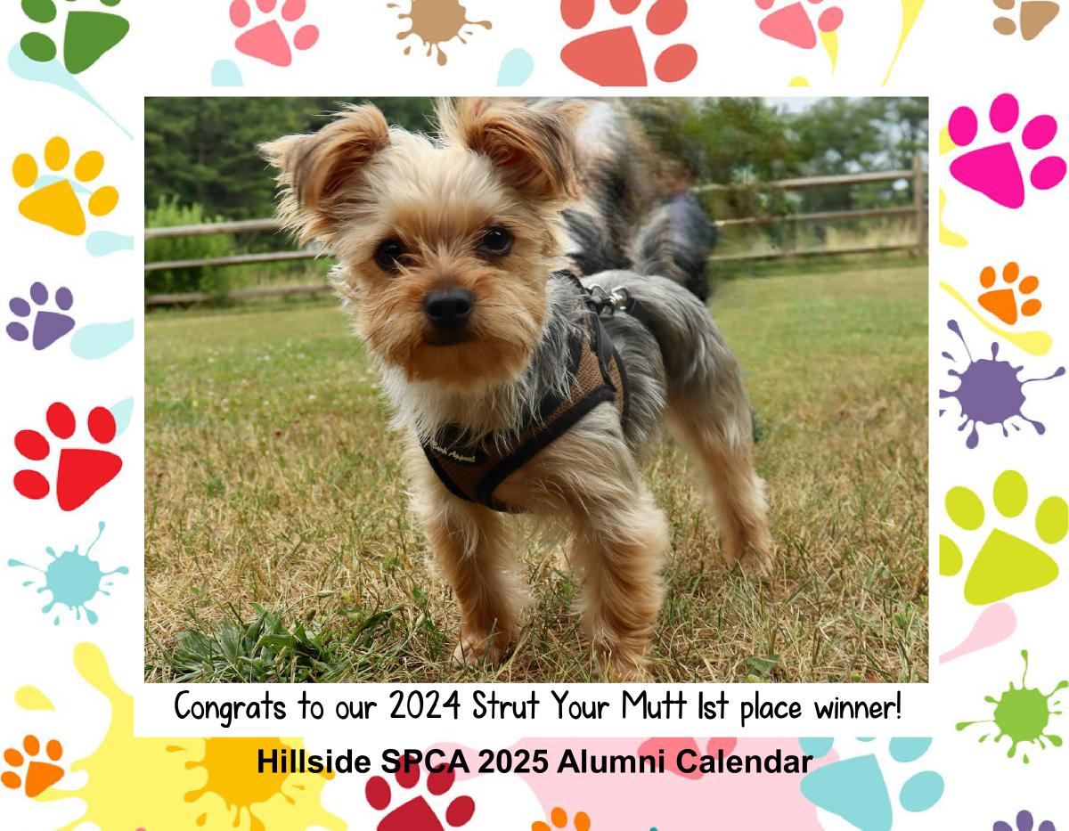 Hillside SPCA 2025 Wall Calendar