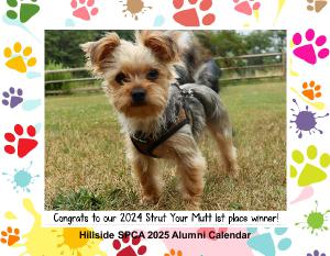 Hillside SPCA 2025 Wall Calendar