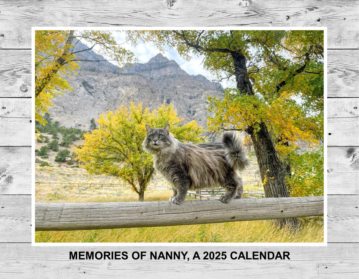 MEMORIES OF NANNY - A 2025 CALENDAR