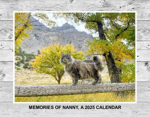 MEMORIES OF NANNY - A 2025 CALENDAR