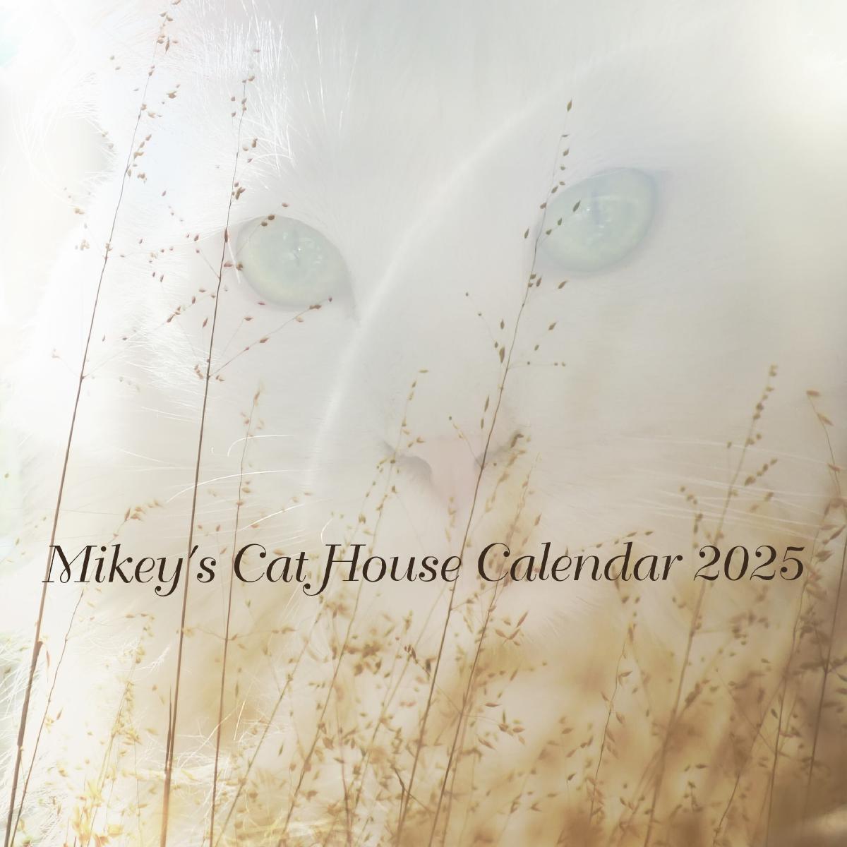 Mikeys Cat House Calendar 2025