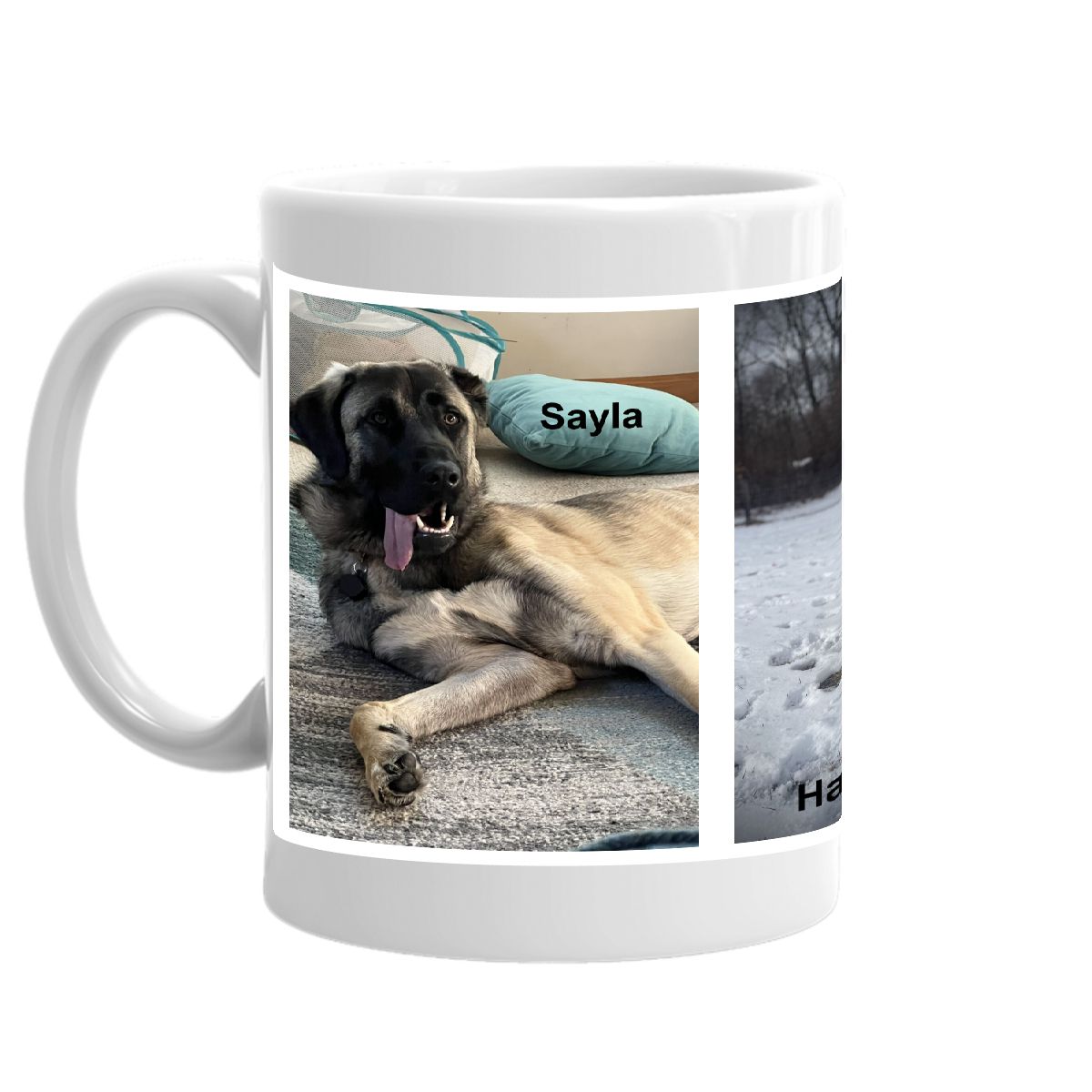 2025 Kangal Dog Mug