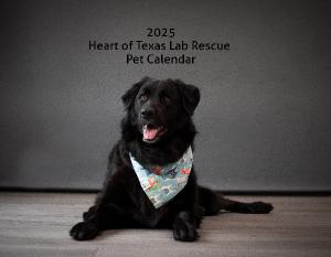 2025 Heart of Texas Lab Rescue Pet Calendar