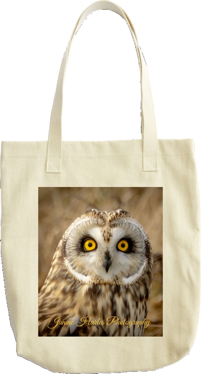 Owl Tote