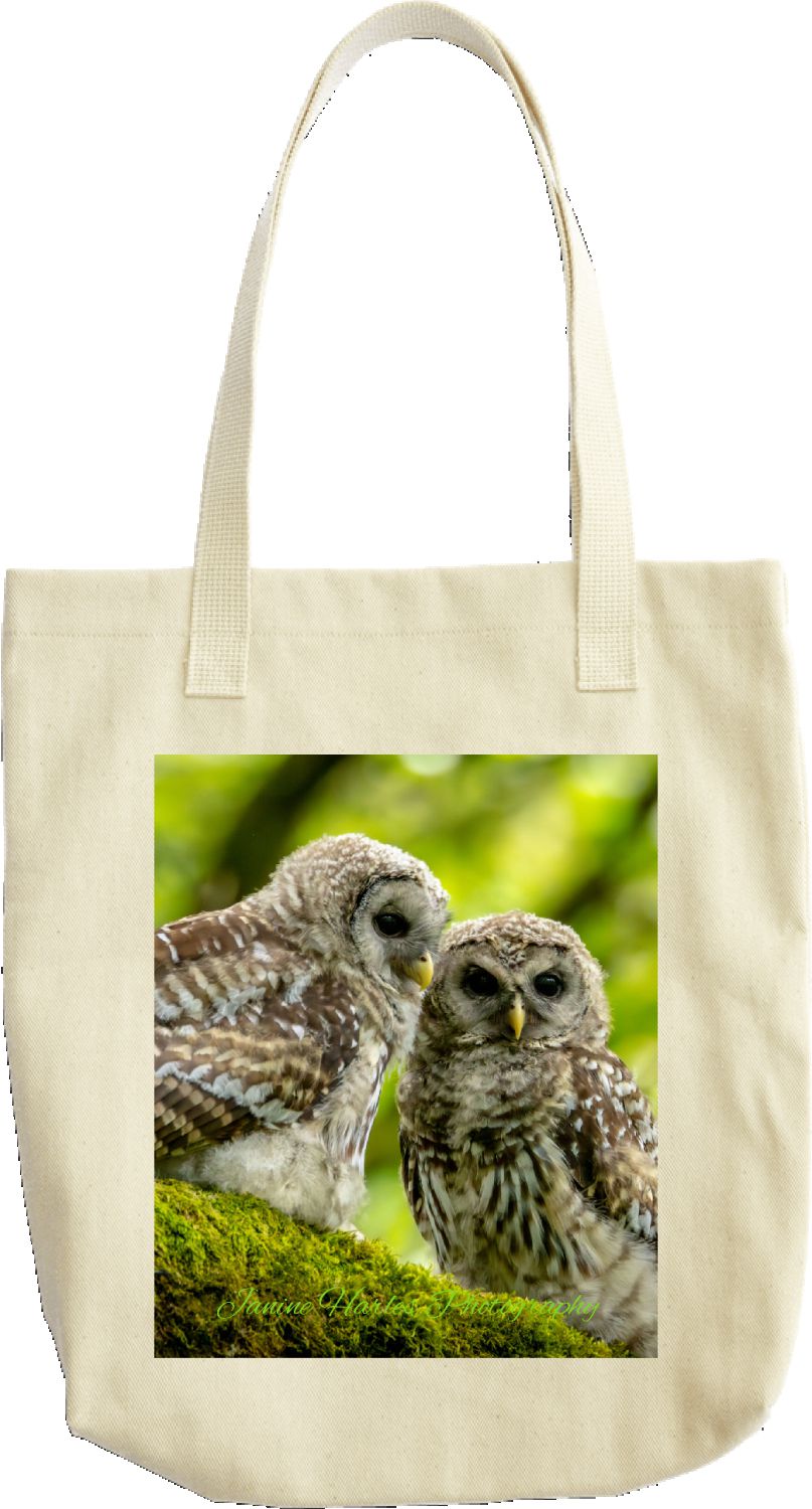 Barred Owl Baby Bag