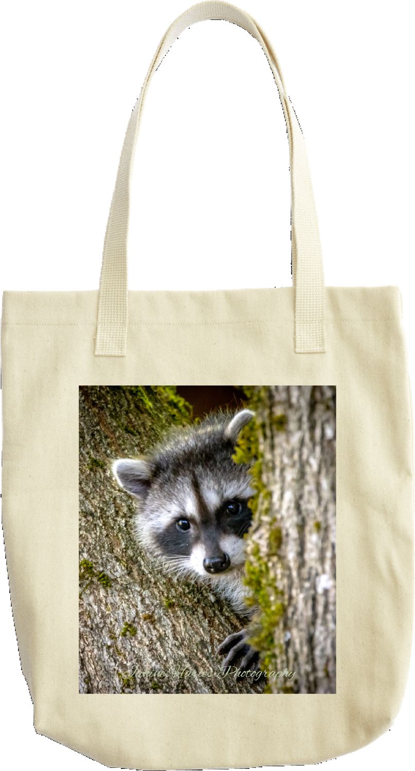 Baby Raccoon Bag