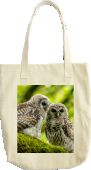 Barred Owl Baby Bag