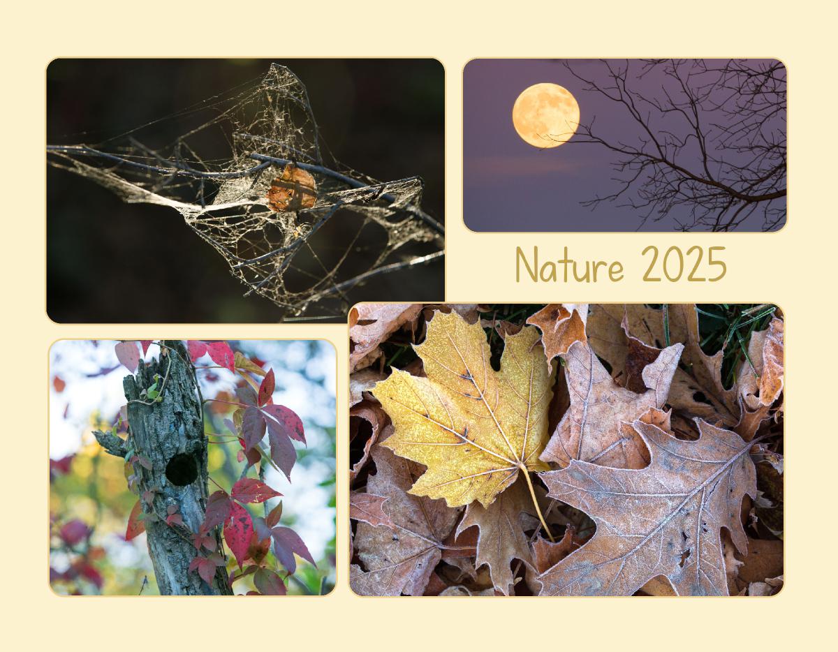 Nature 2025 Wall Calendar