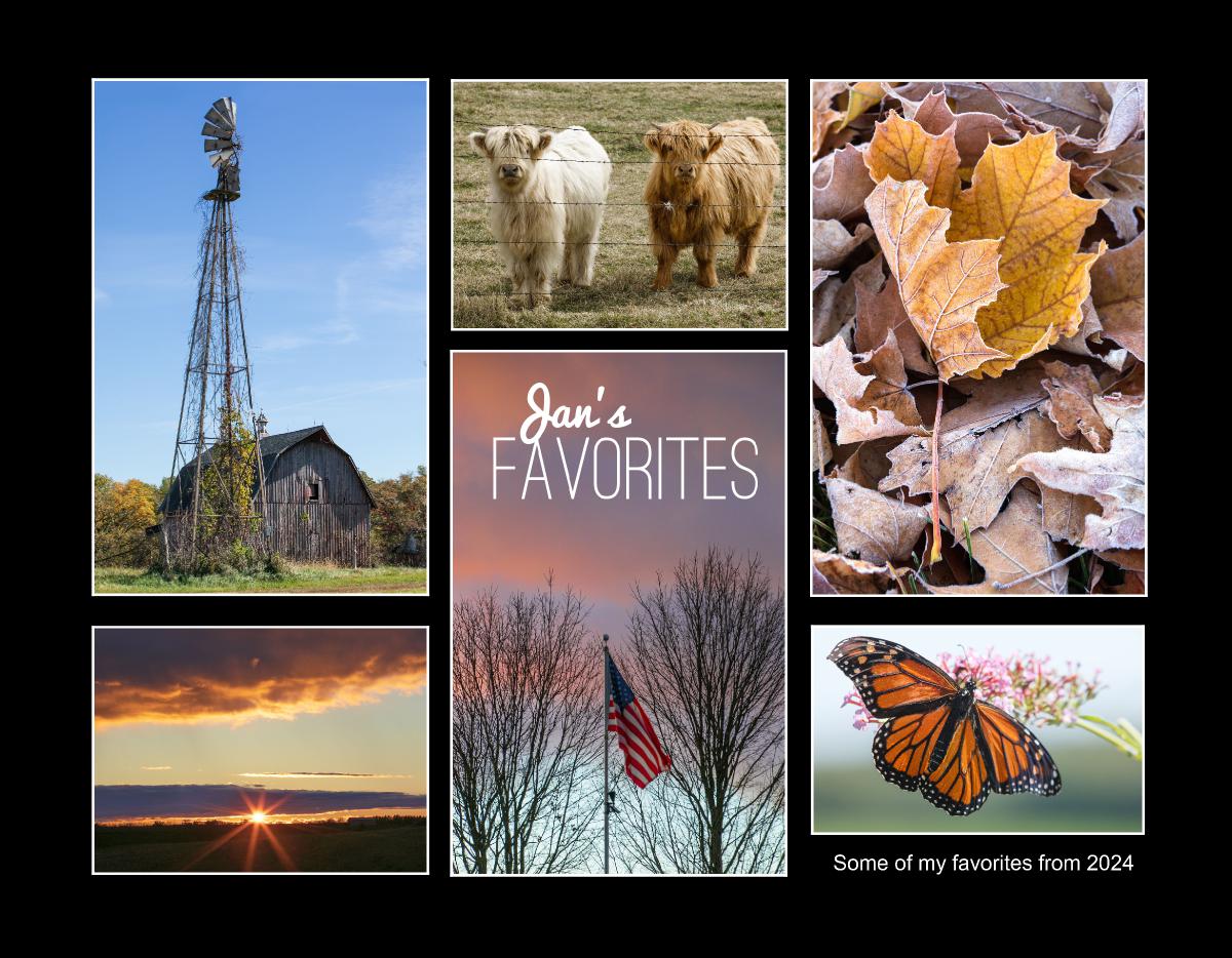 Jan's Favorites 2025 Wall Calendar