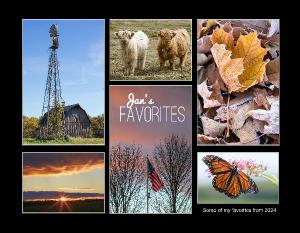 Jan's Favorites 2025 Wall Calendar