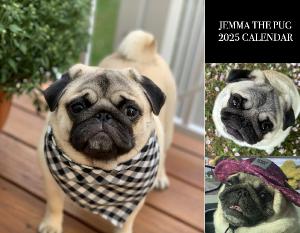 Jemma the Pug 2025 Calendar