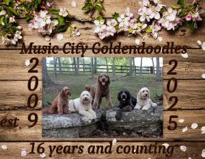 2025 Music City Goldendoodles Calendar