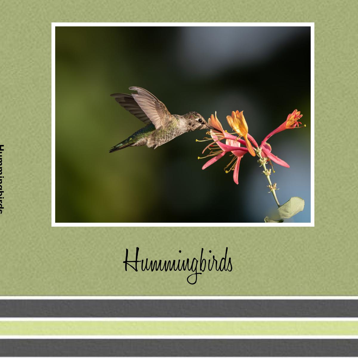 Hummingbirds