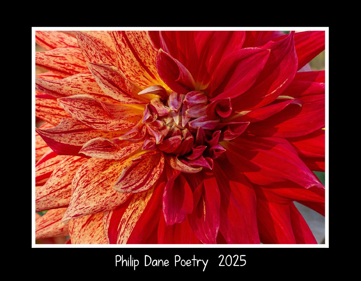 Dahlias and Poetry