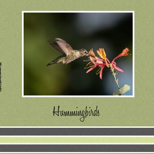 Hummingbirds