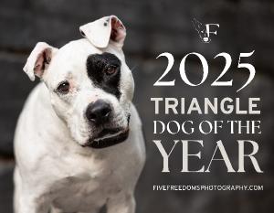 2025 Triangle Dog Of The Year Calendar