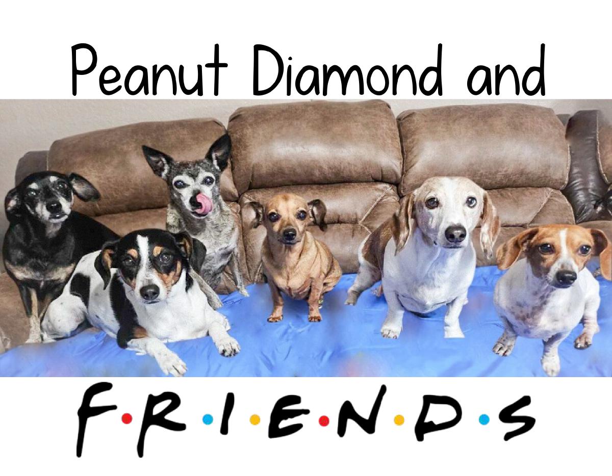 Peanut Diamond & Friends!