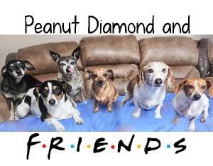 Peanut Diamond & Friends!