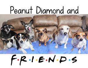 Peanut Diamond & Friends!