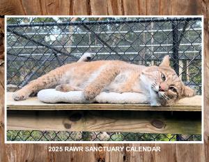 2025 RAWR Sanctuary Calendar