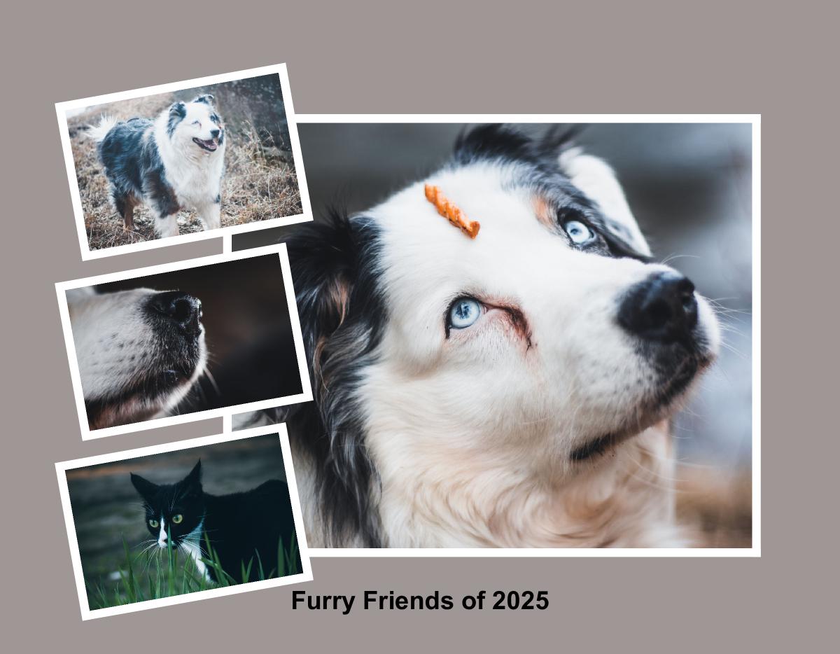pets calendar 2025