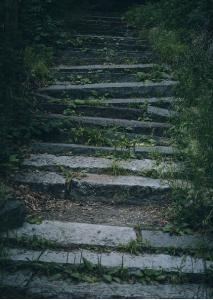 stairs in nature greeting cards
