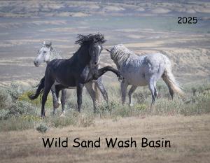 Wild Sand Wash Basin