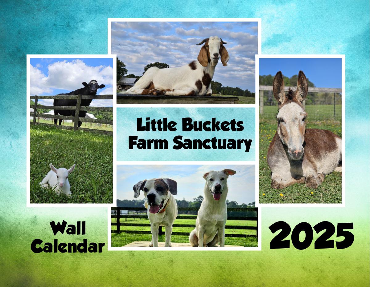 2025 Wall Calendar