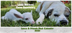 Desk Calendar with Lucca and Friends