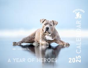 2025 Shelter to Soldier Calendar: A Year of Heroes