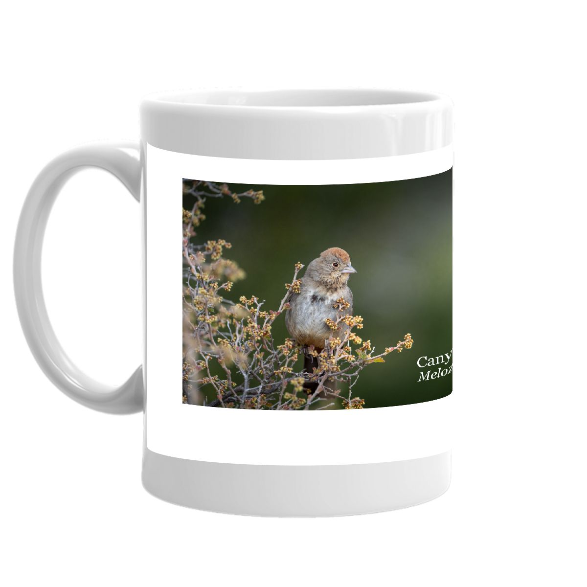 Bird Mug