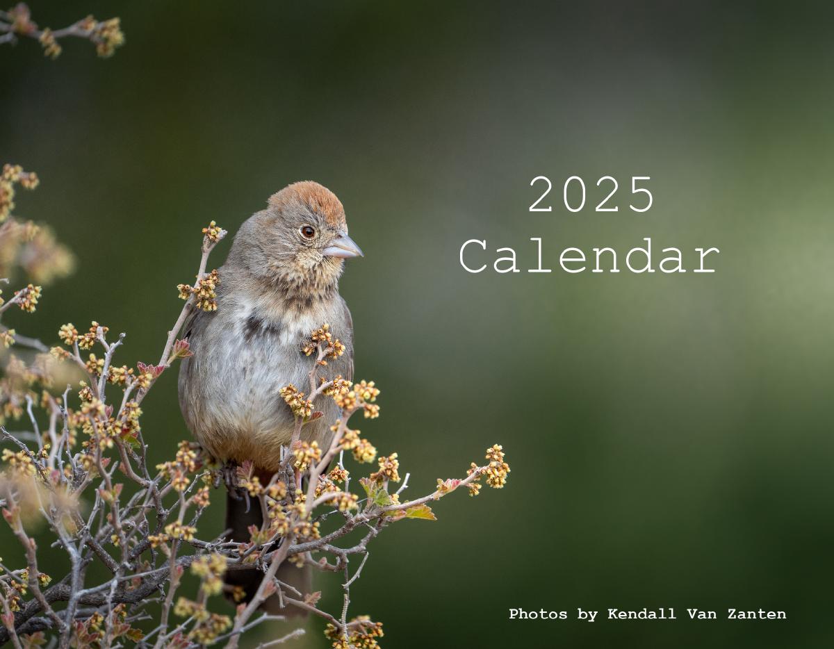 2025 Avian Calendar