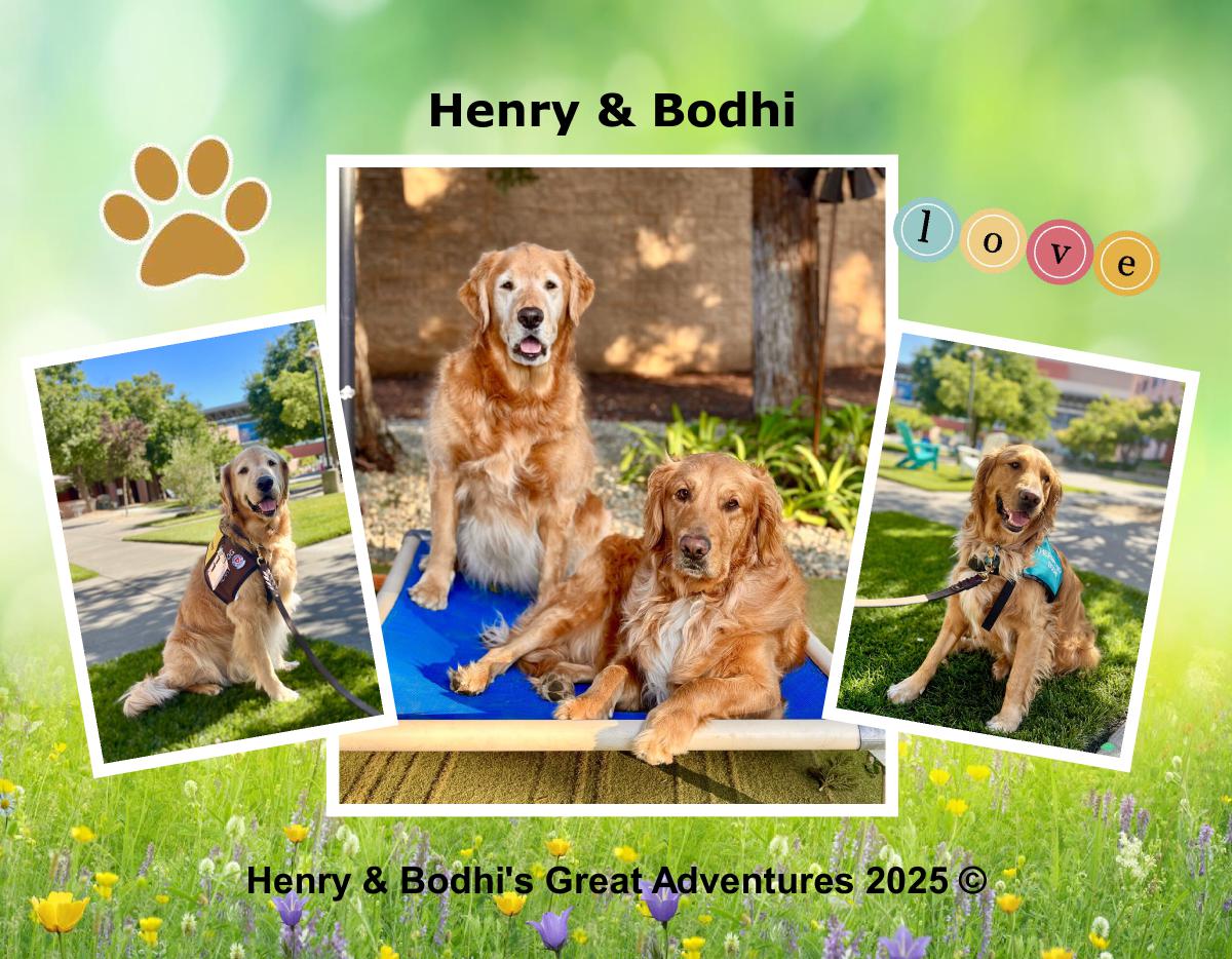 Henry & Bodhi 2025 Calendar