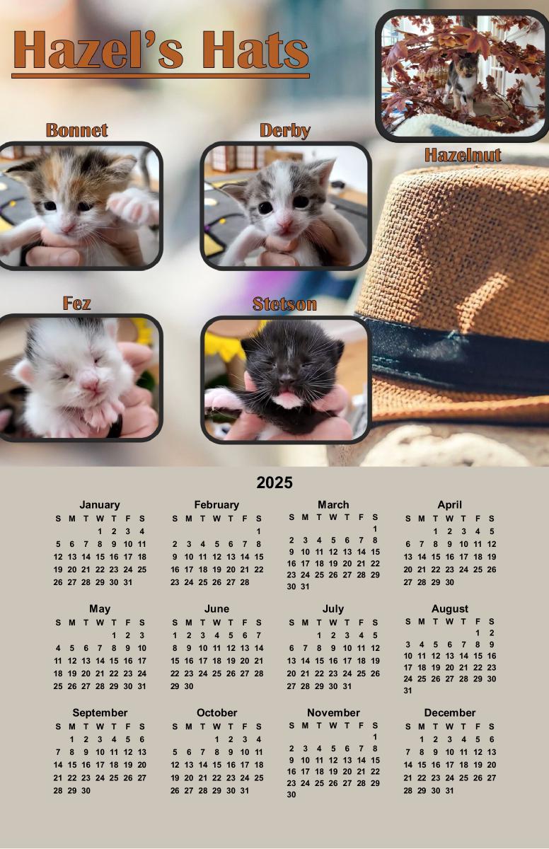 Hazel's Hats Poster Calendar