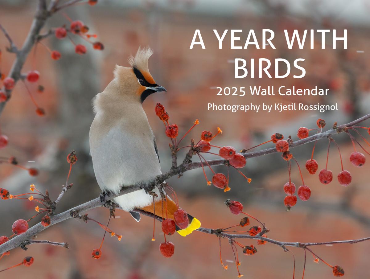 A Year With Birds 2025