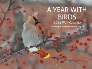 A Year With Birds 2025