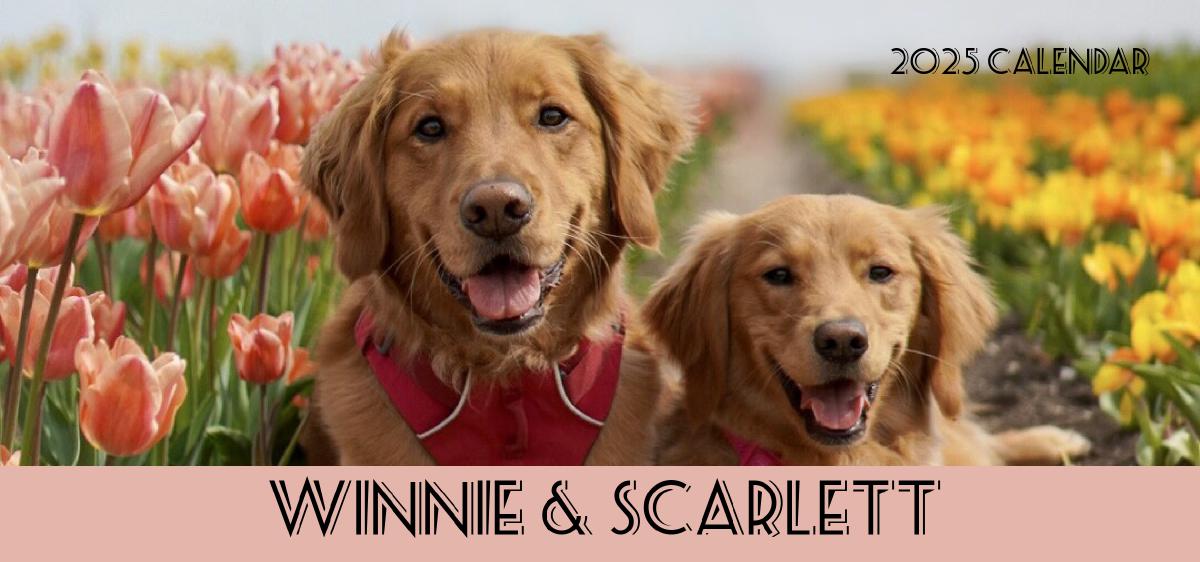 Winnie and Scarlett 2025 Desk Calendar