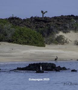 Galapagos Wonders