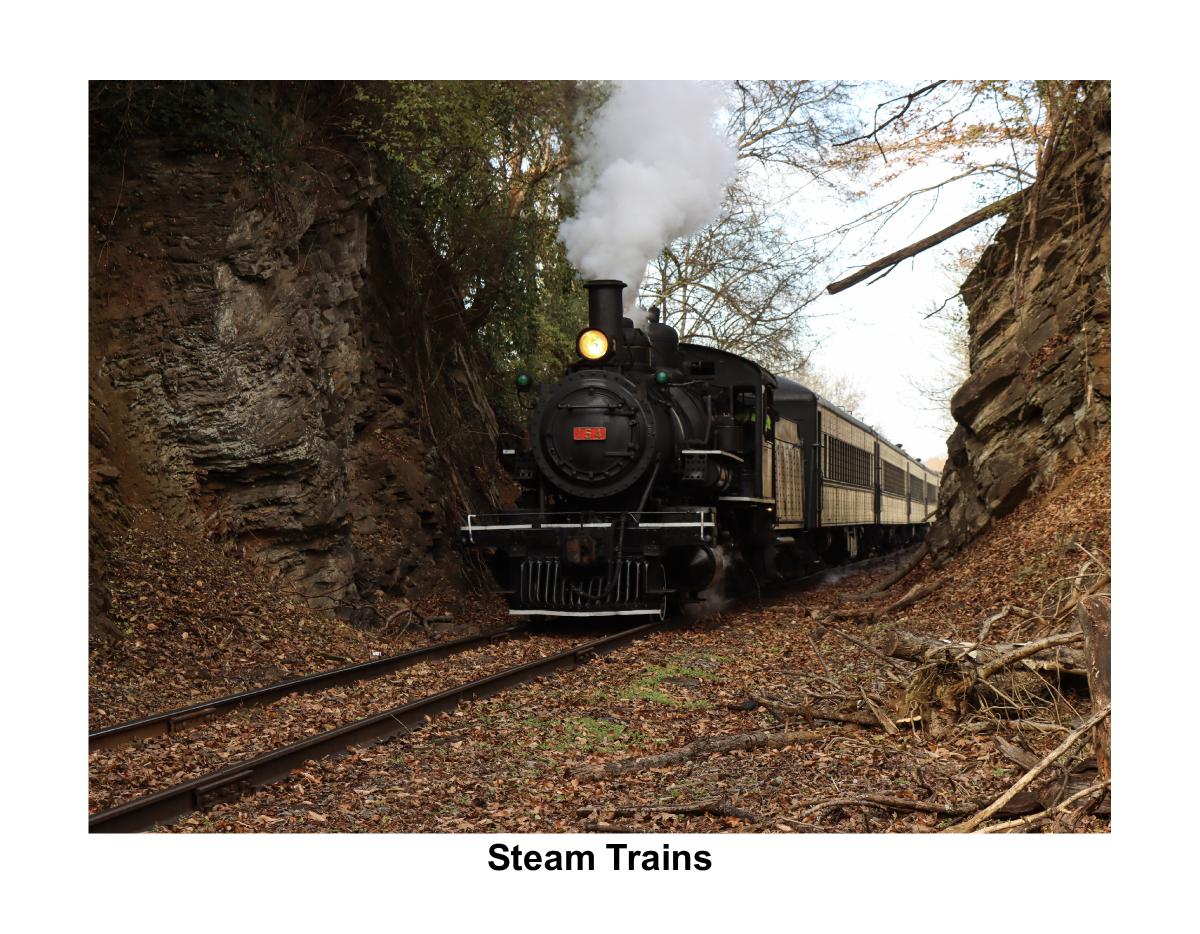 Steam Trains