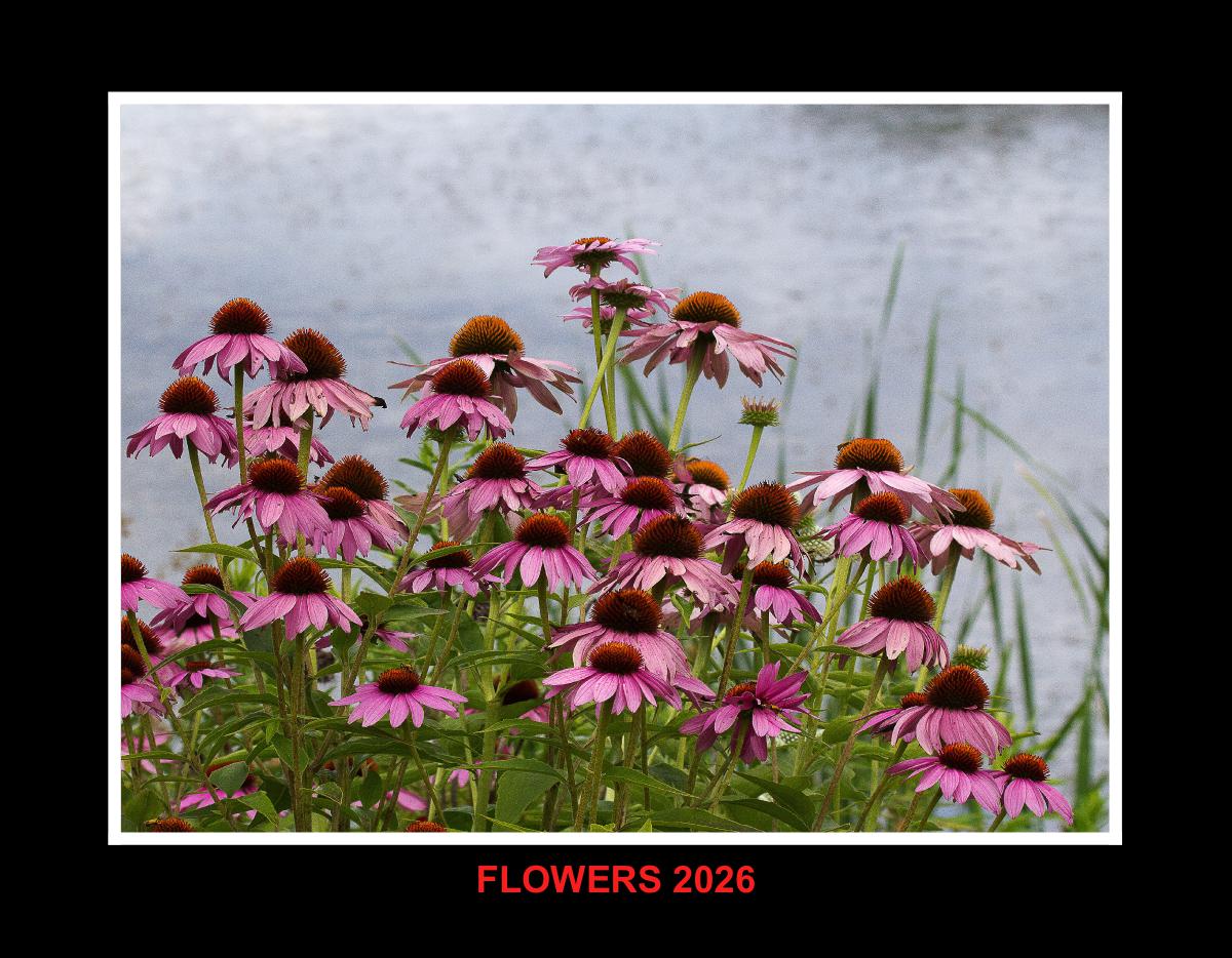 2026 FLOWERS