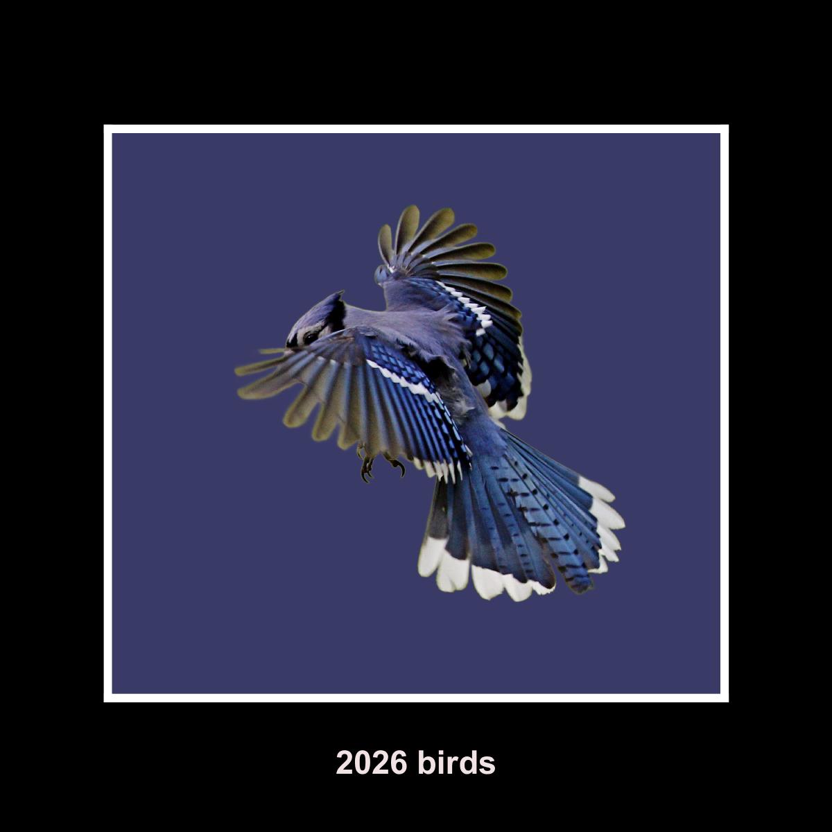 2026 MIDWESTERN BIRDS