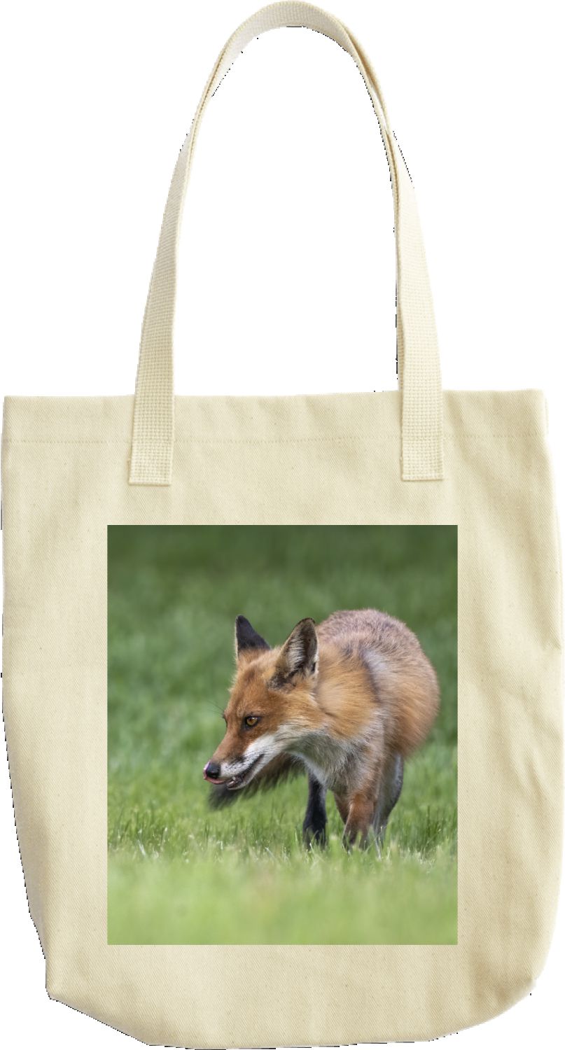 Fox On The Bag