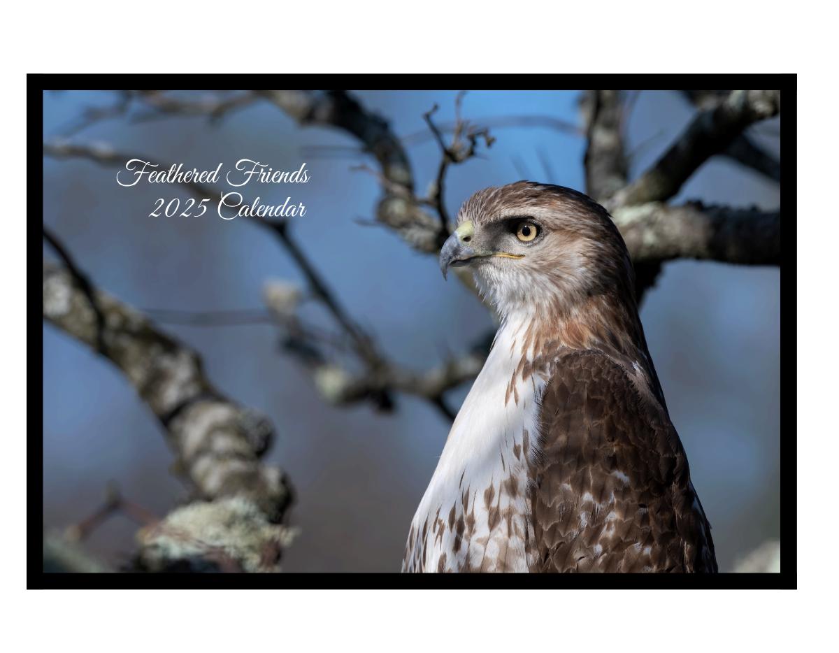 Feathered Friends 2025 Calendar